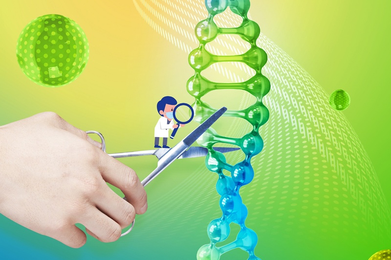 A domestic research team has developed a technology that kills cancer cells by cutting one strand of their DNA's double helix. *(iClickArt) Unauthorized reproduction and redistribution of the above image is prohibited by copyright law.  
