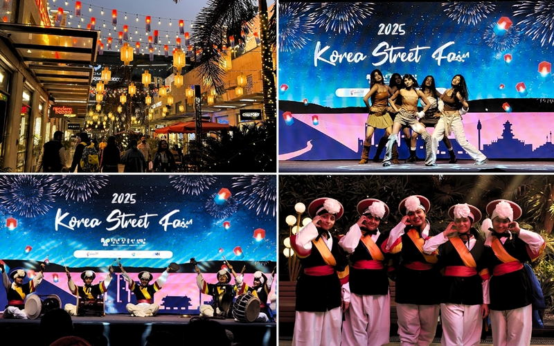 Performances by Eternals, a Delhi based K-pop Dance group and KCCI's samulnori team at the Korea Street Fair 2025.
