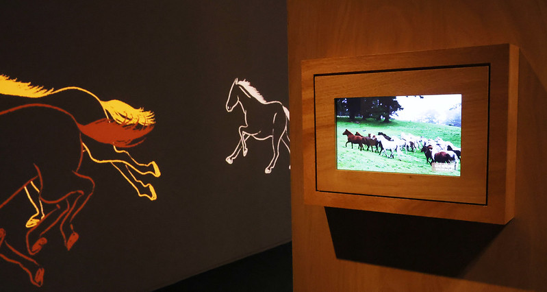 A video shows horses on Jeju Island at the exhibition 