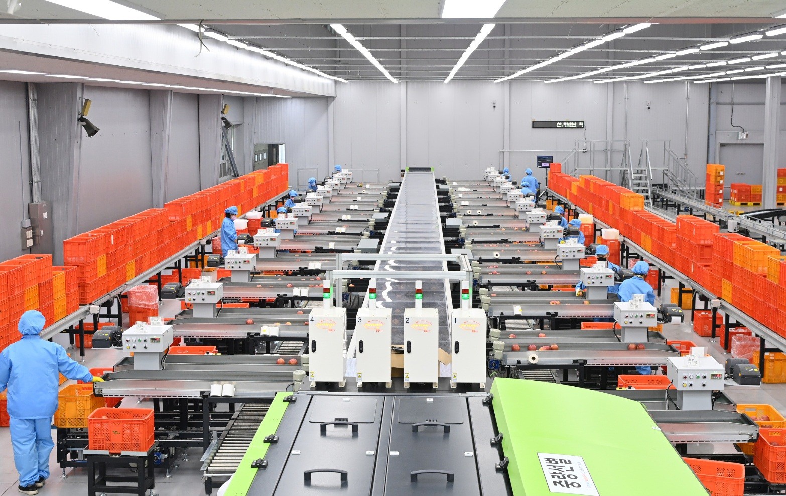 Gyeongsangbuk-do Province since 2023 has promoted the expansion and smartification of 16 of the province's 133 agricultural product distribution centers. (Gyeongsangbuk-do Province) 