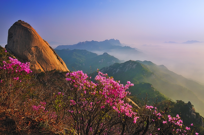 National parks nationwide last year attracted 2.05 million foreign visitors. Shown is spring scenery at Bukhansan National Park in Seoul. (Korea National Park Service)  
