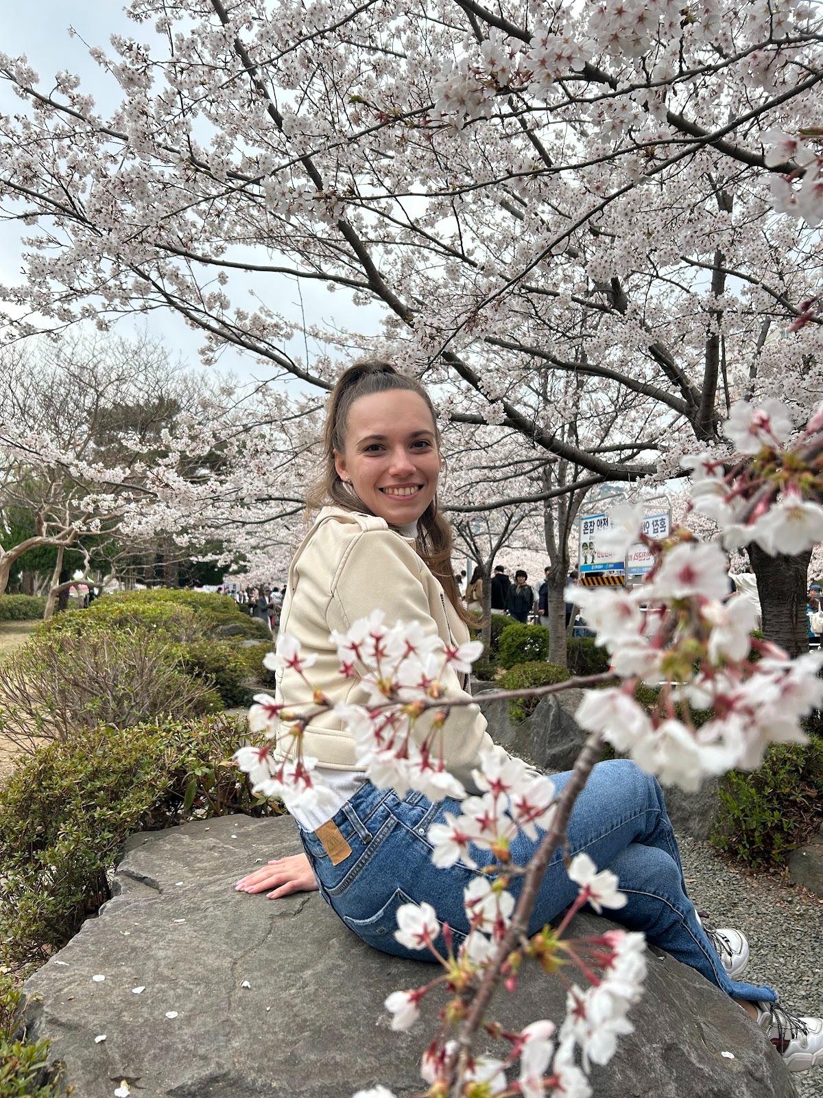 Snežana Mladenović enjoys the blooming cherry blossoms at Jinhae Cherry Blossom Festival in April 2025 during her studies at Hankuk University of Foreign Studies (photo from Snežana Mladenović’s private archive)