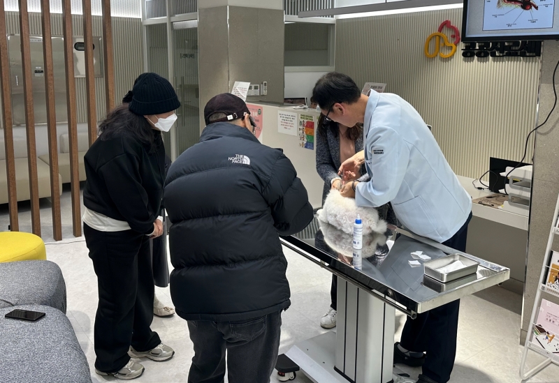 Staff at a public veterinary center in Gimpo, Gyeonggi-do Province, treat a dog. (Gimpo Public Veterinary Center)