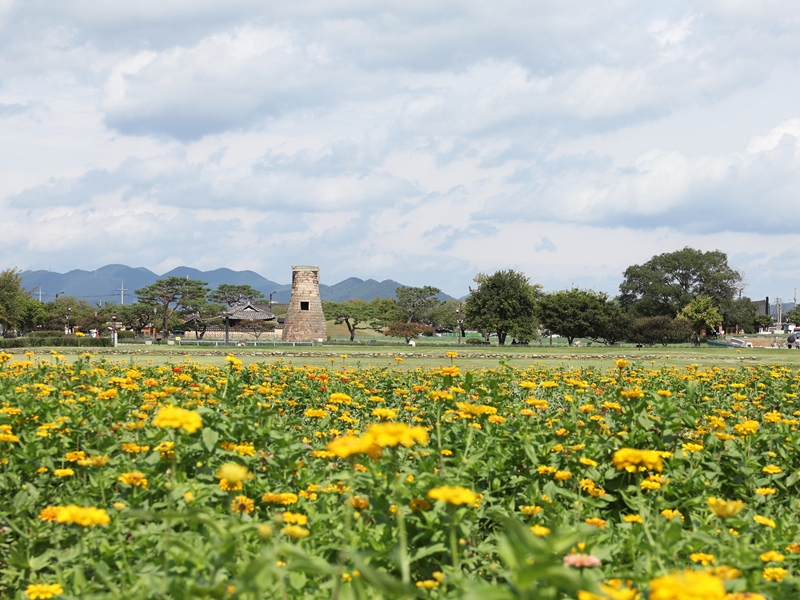 Cheomseongdae Observatory in Gyeongju, Gyeongsangbuk-do Province, is one of the country's most popular tourism attractions. (Park Daejin)  