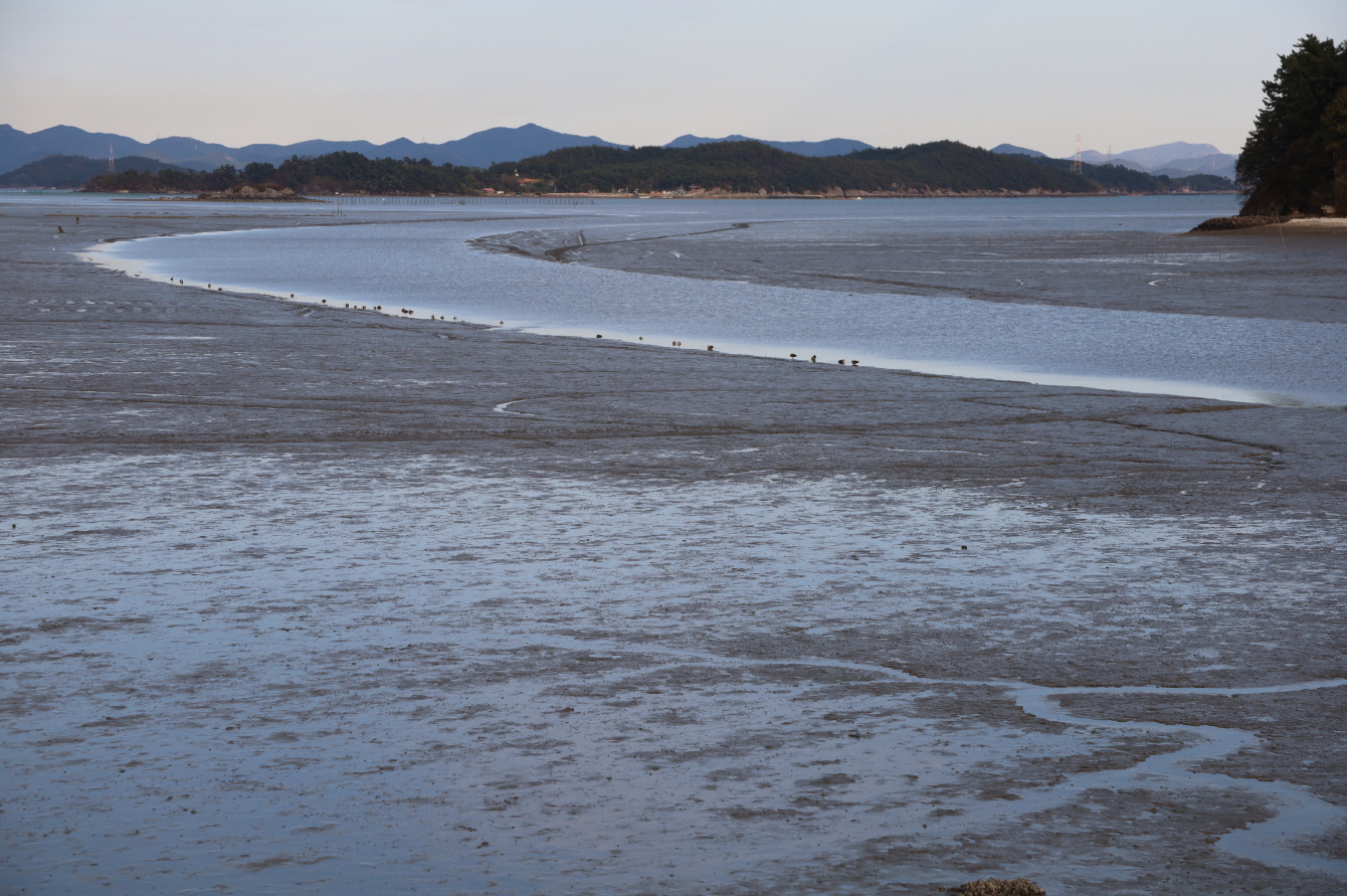 The Korea Heritage Service and the Ministry of Oceans and Fisheries on June 5 said the International Union for Conservation of Nature recommended to the UNESCO World Heritage Committee the addition of 