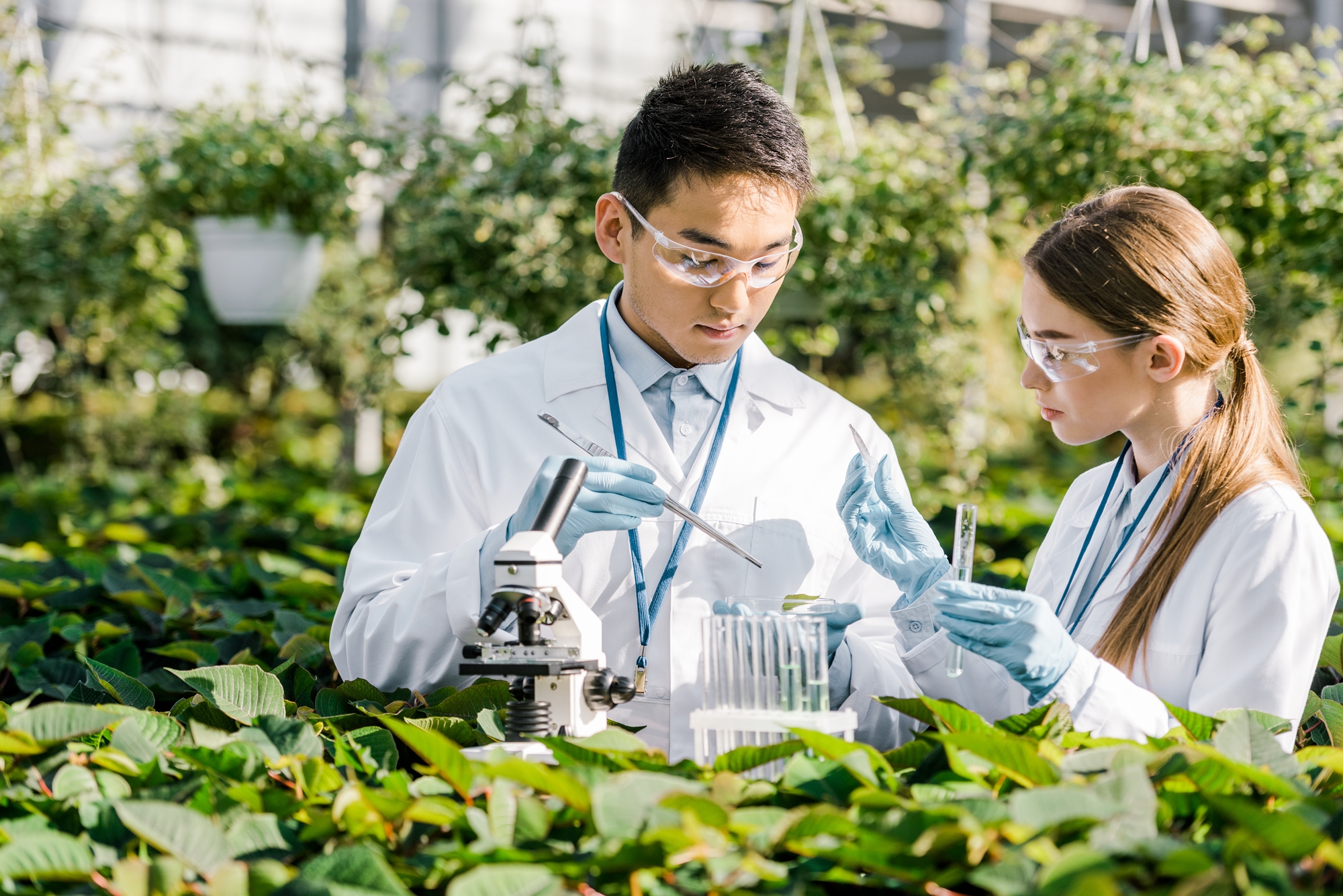To ease the recruitment of top international talent, the K-Tech Pass will adopt a new approach that combines qualitative evaluations with the government’s program to attract top scholarly talent. (iClickArt) Unauthorized reproduction and redistribution of this image is prohibited under copyright law.  