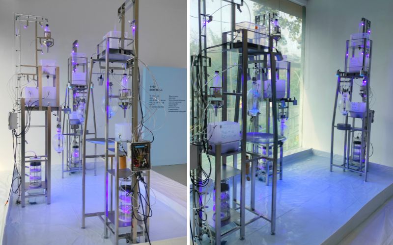 Artist Boo Jihyun’s installation ‘Where is it going’ on June 20 is on display at the Korean Cultural Centre in New Delhi.