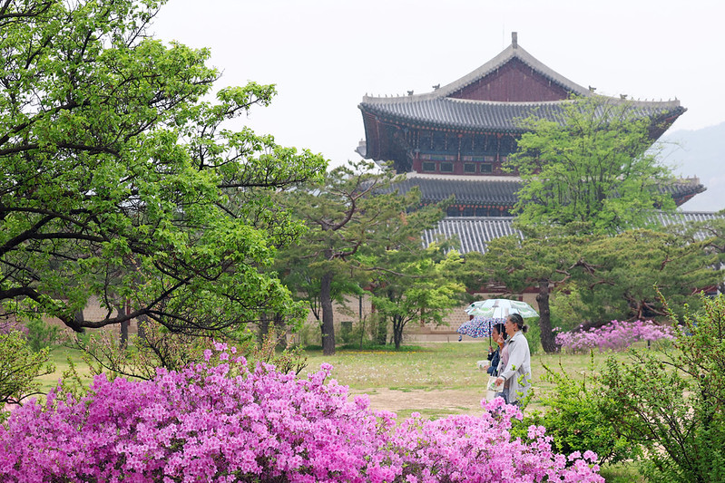 Two tourists on April 20 explore Gyeongbokgung Palace in Seoul's Jongno-gu District. (Korea.net DB)