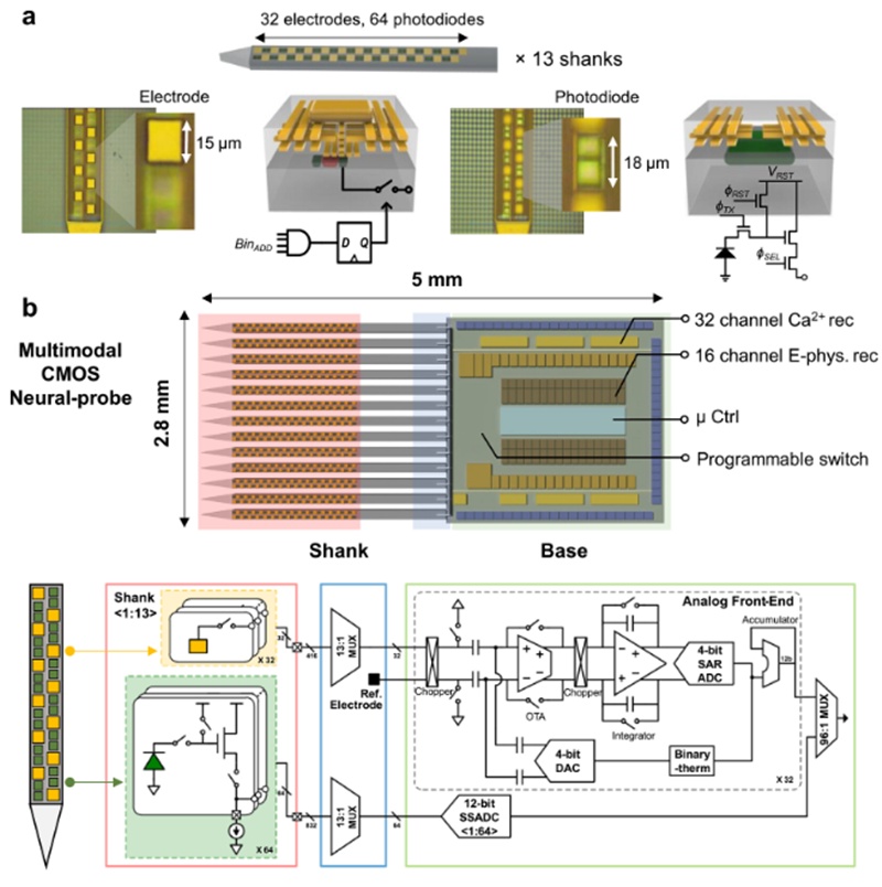 This is a structural and signal processing circuit diagram of the next-generation brain-computer interface chip. (Screenshot from paper published in Advanced Science)