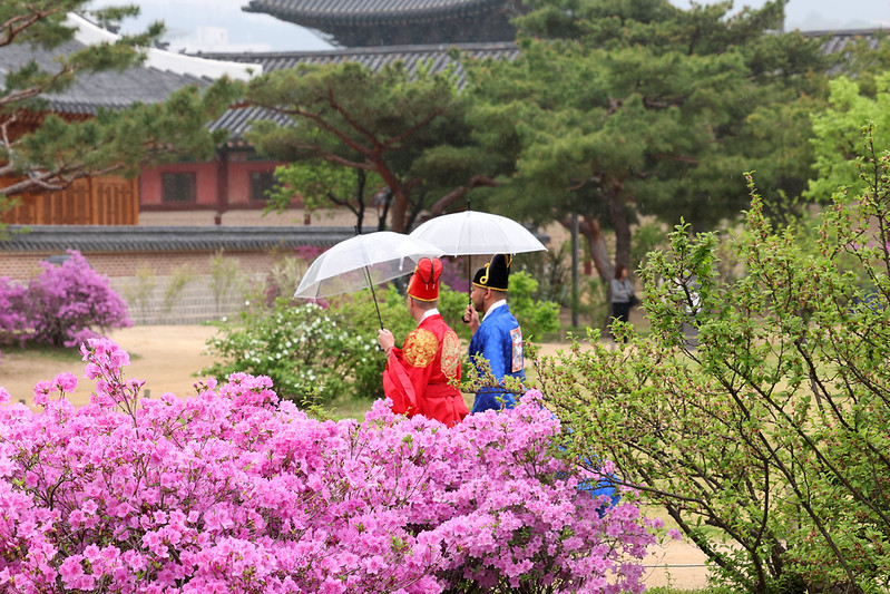 Two tourists clad in Hanbok (traditional clothing) on April 20 walk inside Gyeongbokgung Palace in Seoul's Jongno-gu District. (Korea.net DB)