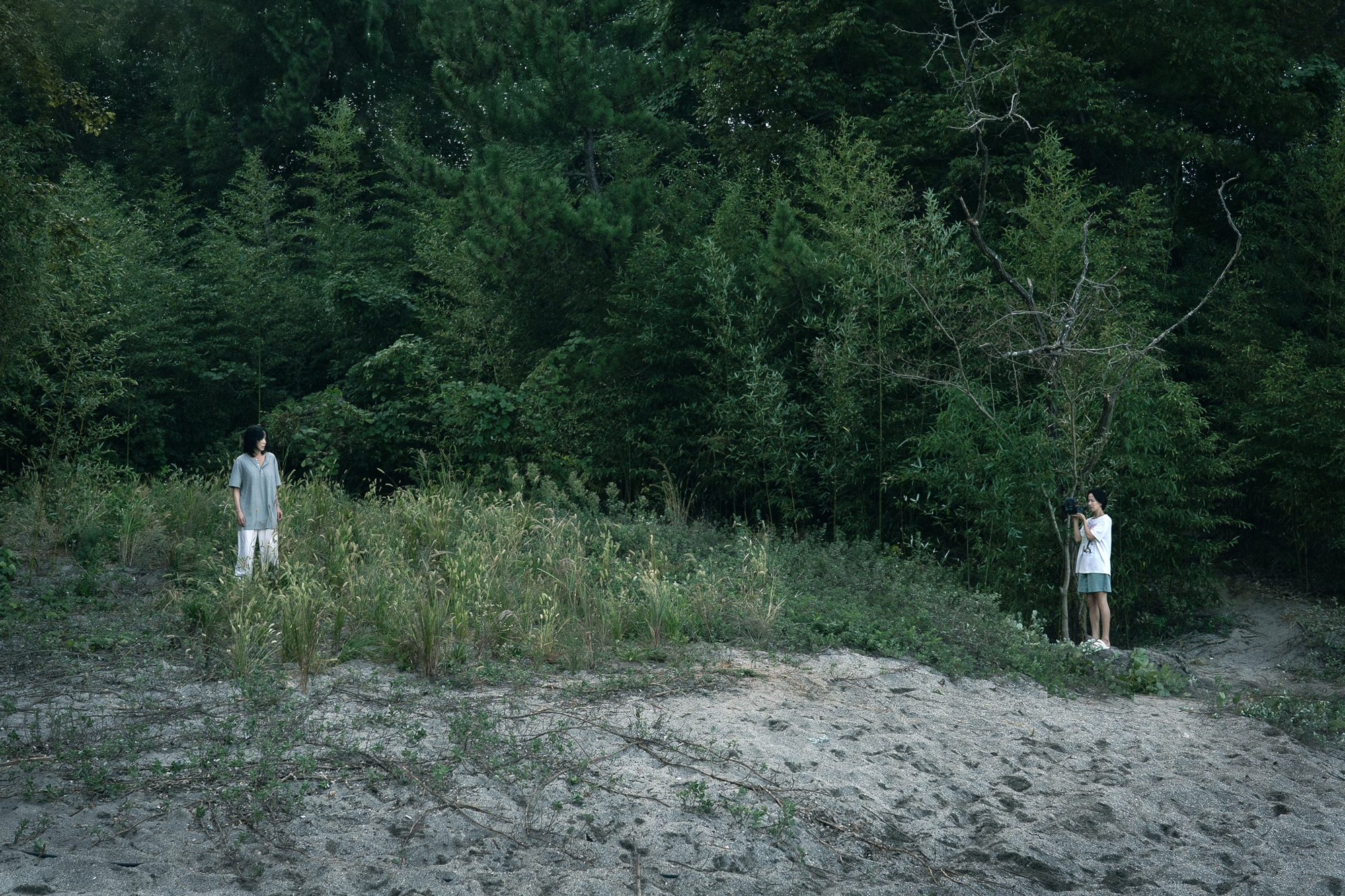 Scene from 