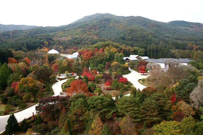 The Korea Forest Service (KFS) and the Korea National Arboretum on Sept. 2 said five national recreational forests were officially designated other effective area-based conservation measures in the World Database on Protected and Conserved Areas. Shown is an aerial view of Gwangneung Forest, one of the five selections. (KFS)