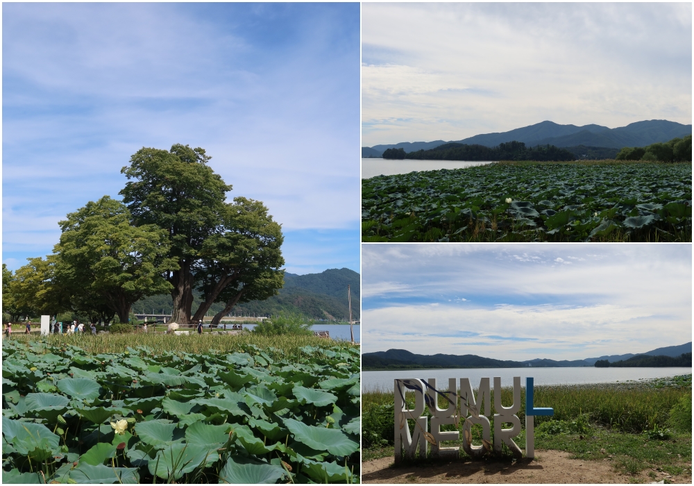 The Dumulmeori area in Yangpyeong-gun County, Gyeonggi-do Province, is where the Bukhangang and Namhangang rivers  meet. The scenic site is also famous as a filming location for the 2015 K-drama 