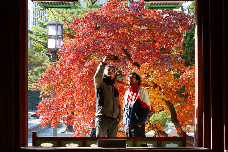 The Ministry of Culture, Sports and Tourism on Sept. 28 released a report on inbound tourism trends from January to August saying the number of foreign visitors in the first eight months of this year reached 15.05 million. Shown are two tourists taking a selfie at the fall foliage-colored Deoksugung Palace in Seoul. (Korea.net DB)