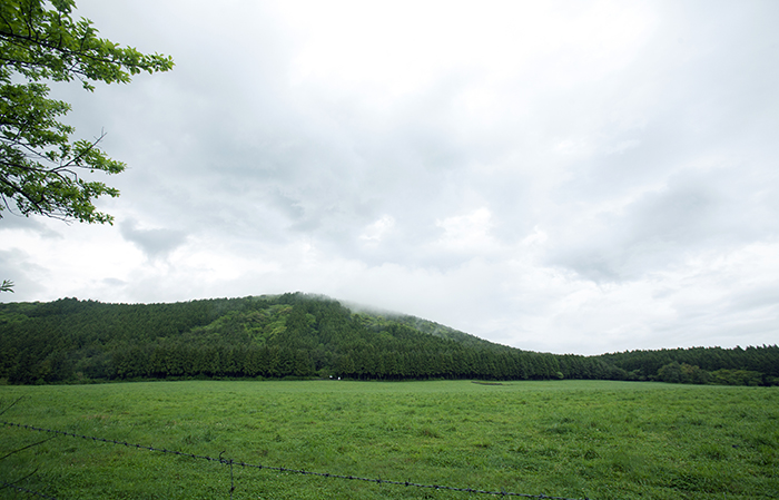 700_3_jeju_20180525.jpg