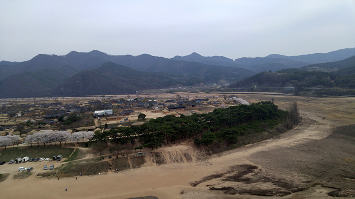 The Hahoe Village is part of Andong City. Looking southward, the northeastern edge of the village is lined with cherry trees in full bloom (top). The northwest edge of the village is home to a pine tree forest, the Mansongjeong (만송정, 萬松亭), planted to prevent flooding and heavy winds (bottom).