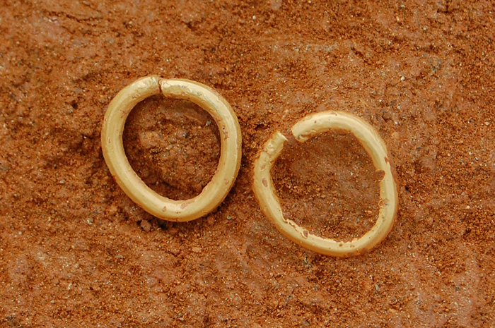  (From top) A gilt bronze shoe, a sword with a ring on the pommel and golden earrings. (photos courtesy of the CHA) 