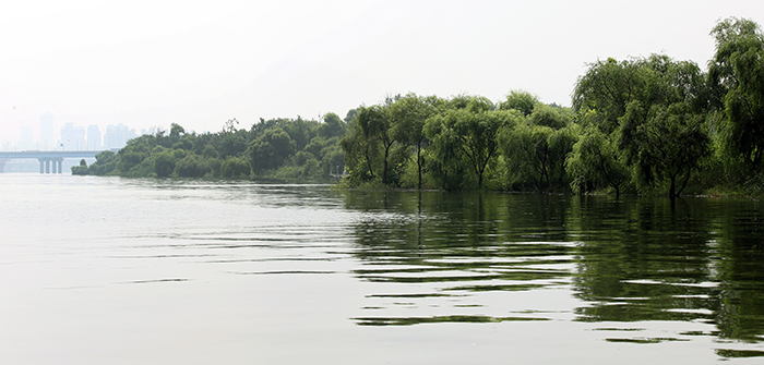 Bamseom Island is located underneath the Sogang Bridge