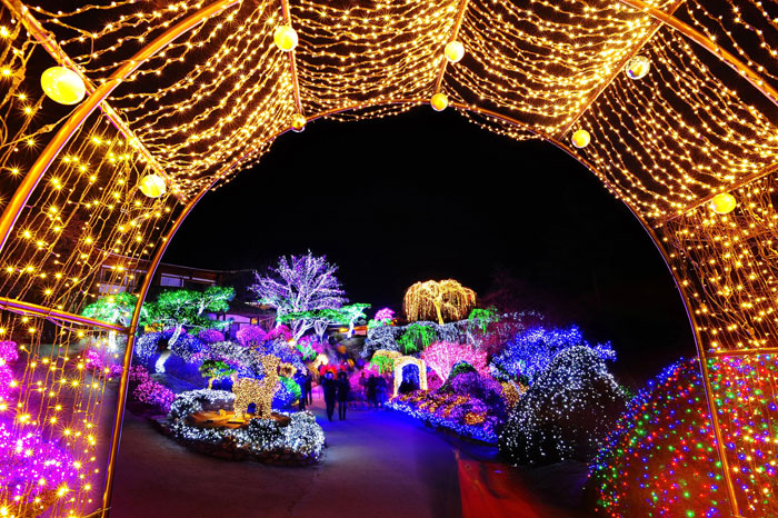 In the winter, the Garden of Morning Calm hosts a special lights festival every night.