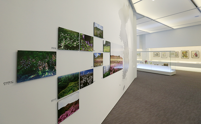 The special exhibits hall at the <i>Cheong Wa Dae Sarangchae</i> is currently hosting an exhibition of Korea wildflowers. (Photo: Jeon Han)