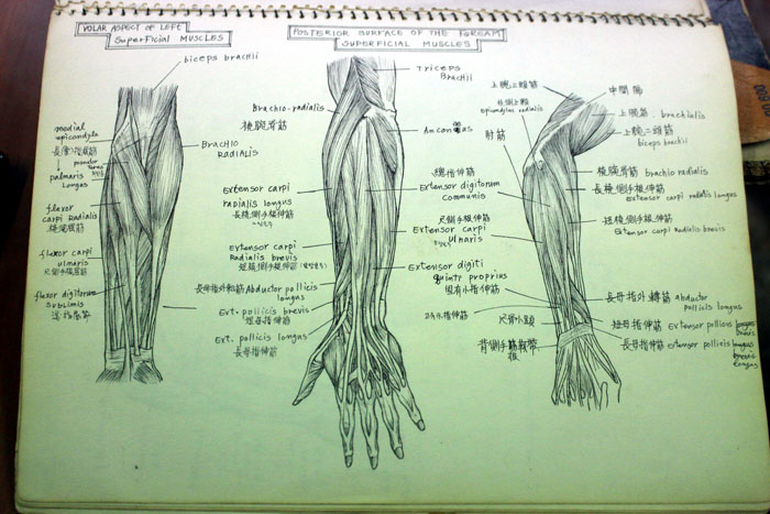 Cho-Yong-jin_news_L3.jpg
