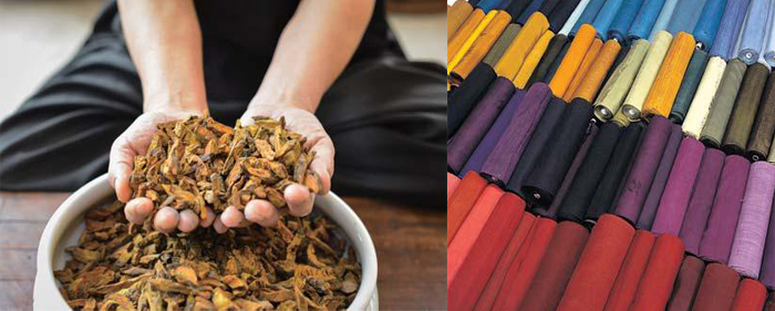 Rhubarbe used in dyeing (left) and rolls of dyed fabric.
