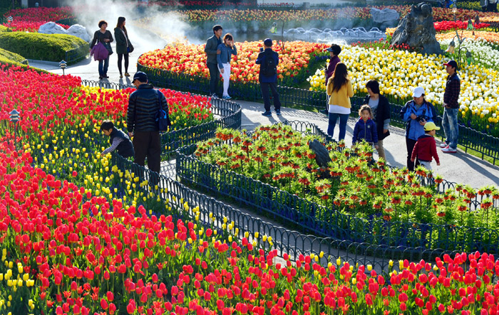 People enjoy the beauty of spring flowers during the Everland Tulip Festival, going on until April 27. (photo courtesy of Everland)