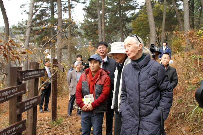(Top) Jane Goodall (right) and Choe Jae-chun, director of the National Institute of Ecology, look around the woods at the NIE. (Bottom) Jane Goodall reads messages encouraging the co-existence of humanity and nature inscribed on signposts. 