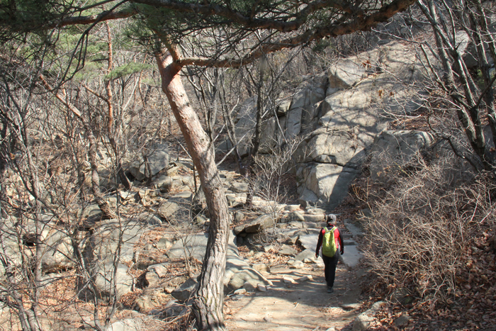 The trail to the peak of Gwanaksan Mountain is full of spring sunlight. It is less crowded during the week. 
