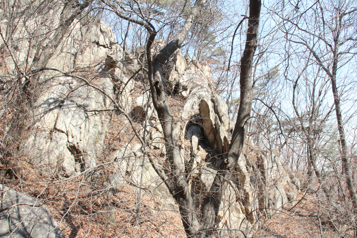 Going up the mountain, hikers can see strange-looking large rocks here and there. 