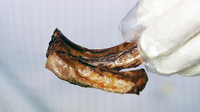 Gwanghwamun_Rib_Article_05.jpg