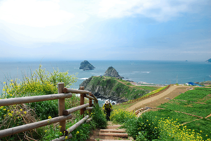 The Haeparang Trail is Korea’s longest walking trail, stretching 770 kilometers from Busan in the south to Goseong in Gangwon-do Province in the north.