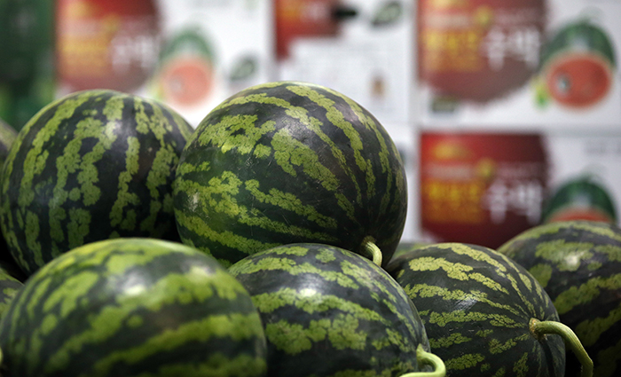 Watermelons are harvested and distributed to large retailers across the country. These watermelons are so sweet that sales are skyrocketing.