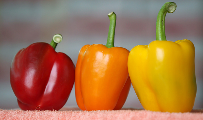 Waiting for shipment, paprikas show three beautiful hues, as if they are artificial replicas.