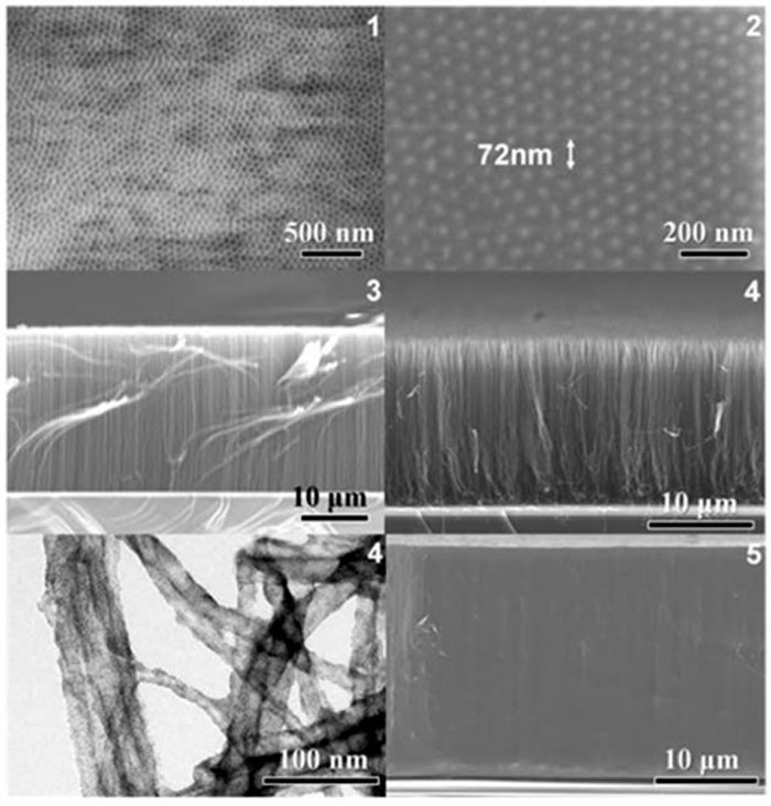 Electron microscope images show evenly lined up pictures of carbon nano tubes. The cross sections of the carbon nano tubes transmit photic signals to the cross sections on the opposite side. (image courtesy of the Ministry of Science, ICT & Future Planning)
