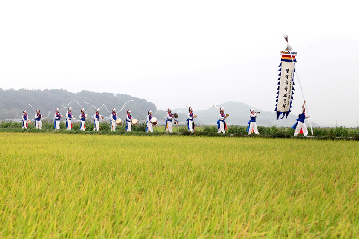 Important Intangible Cultural Heritage No. 11-2 Pyeongtaek Nongak (photo: Park Sungbok of Pyeongtaek Photobank - Memory in Pyeongtaek)