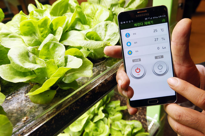 The government will increase investment in its national informatization projects throughout 2016 in order to realize its vision for a creative economy vision, to foster new industries and to promote happiness among the people. An automatic crop cultivation system is run through a mobile phone at the 2015 IoT International Exhibition last year in Seoul.