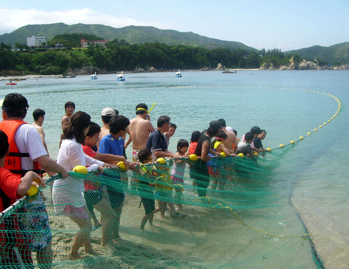 People on Jangho Beach try catching fish with a net. (photo courtesy of Samcheok City)