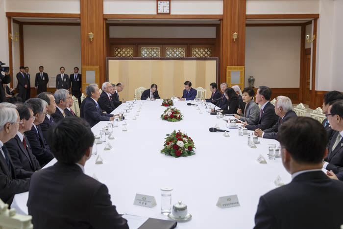 President Park Geun-hye (fifth from right) discusses economic cooperation with the Japan Business Federation delegation on December 1.
