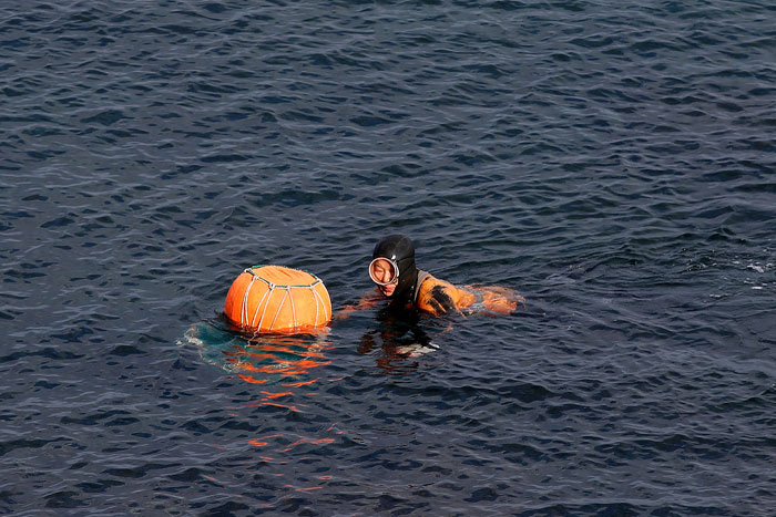 UNESCO’s evaluation body recommended that the indigenous <i>haenyeo</i> skin diving women of Jeju Island be added to the Intangible Cultural Heritage of Humanity list. The photo shows a diver swimming off the coast of Jeju Island.