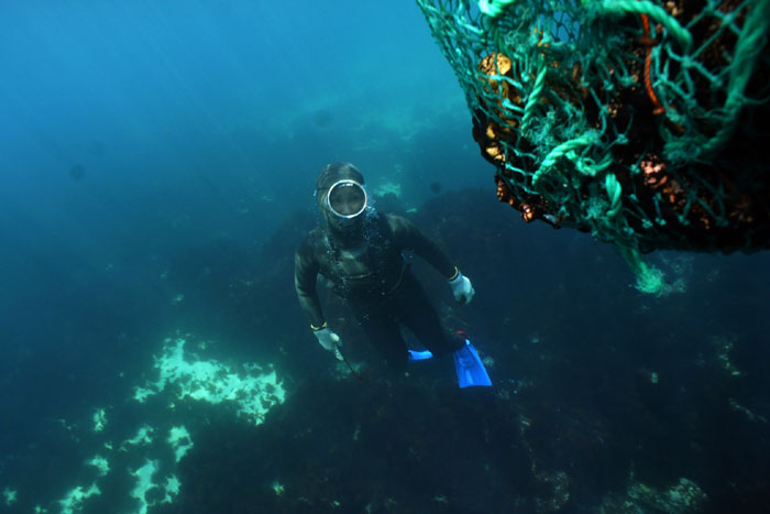 The famous female skin divers of Jeju Island dive to a depth of about 10 meters to catch seafood without using any breathing apparatus. Their importance to Jeju society is embedded in their <i>muljil</i> (diving to catch seafood), their <i>jamsugut</i> (shamanic practices they perform in a wish for safe diving), and in the <i>haenyeo norae</i> (songs female divers sing when they are onboard). The photo shows a diver in waters near the island trying to catch some seafood.