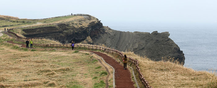 While walking along the Olle trails, people can see various colors of soil and the plants living in it.