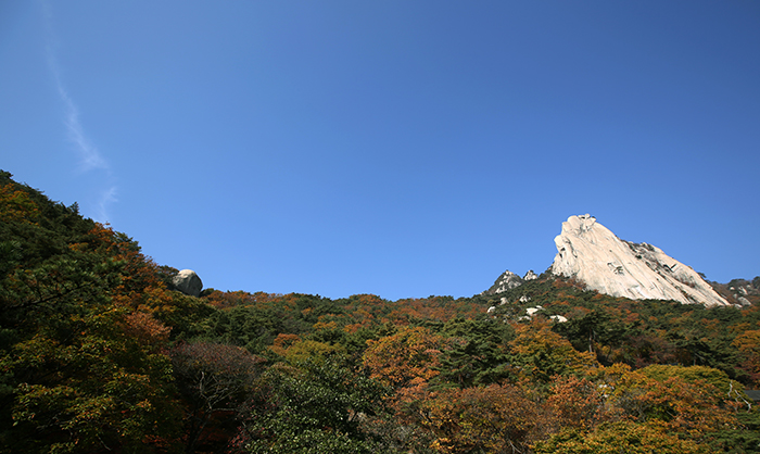 Dobongsan Mountain in Bukhansan National Park sits underneath blue autumn skies, embracing the fall colors on October 29. 