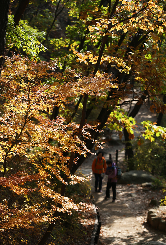  Hikers need to carry flashlights and warm clothing in the autumn and winter due to faster sunsets and cooler temperatures. 