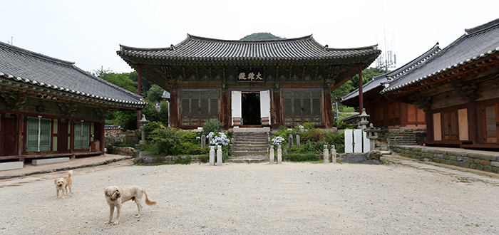 Two Sapsalgae guard the treasured Heungguksa Temple. (photo: Jeon Han)