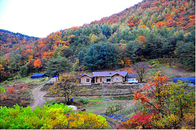 <i>Nae Maeumui Waegatjib</i> (WWOOF Host # G105) near Yeongwol, Gangwon-do (Gangwon Province). 