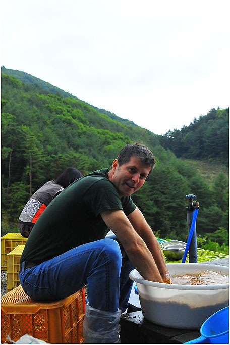 Washing and rewashing wheat to remove grit. The higher price for organic produce seems reasonable after experiencing a small fraction of the labor put into it.