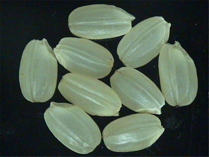 Keunnun is a germinated variety of brown rice. It can help prevent some diseases.