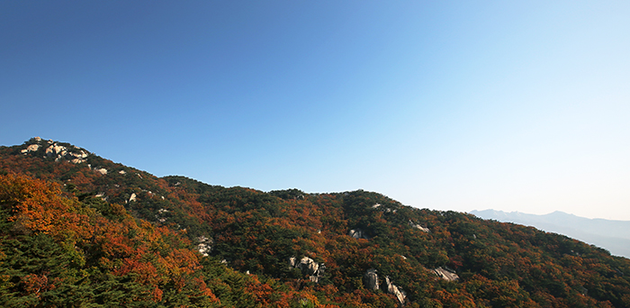  Dobongsan Mountain boasts five autumn foliage colors unfolding beneath blue skies on October 29. 