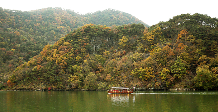  Visitors can take a ferry across Goesanho Lake, in Goesan County, Chungcheongbuk-do, to enjoy the fall foliage. 